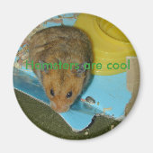 Hamster sind cool Magnet (Vorne)