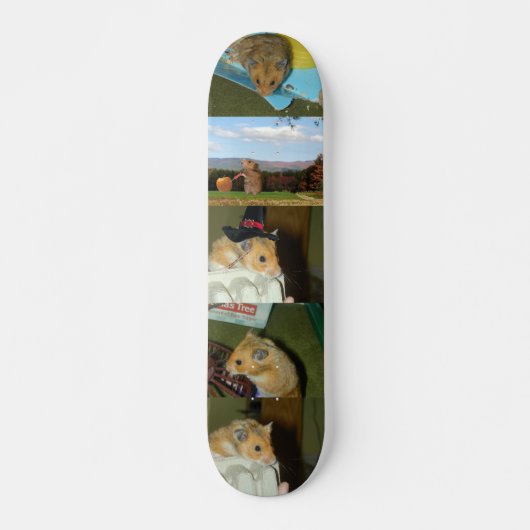 Hamster-Skateboard Skateboard (Vorne)