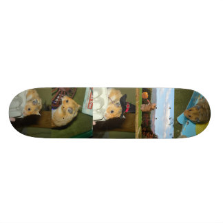 Hamster-Skateboard Skateboard