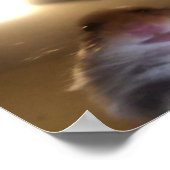 Hamster Staring Meme Poster (Ecke)