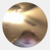 Hamster Staring Meme Runder Aufkleber (Vorderseite)