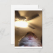 Hamster Staring Meme Save The Date (Vorne/Hinten)