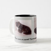Hamster-Tasse Zweifarbige Tasse (Vorderseite Links)