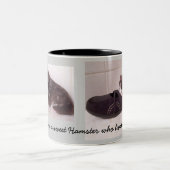 Hamster-Tasse Zweifarbige Tasse (Mittel)