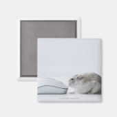 Hamster und Computermaus Magnet (Vorderseite/Rückseite)