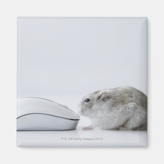 Hamster und Computermaus Magnet (Vorne)