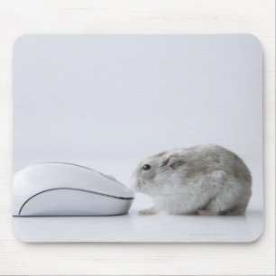 Hamster- und Computermaus Mousepad