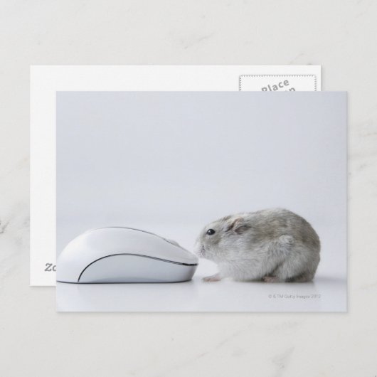 Hamster- und Computermaus Postkarte (Vorne/Hinten)