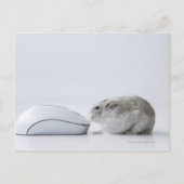 Hamster- und Computermaus Postkarte (Vorderseite)
