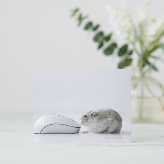 Hamster- und Computermaus Postkarte (Stehend Vorderseite)