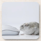Hamster- und Computermaus Untersetzer (Vorderseite)