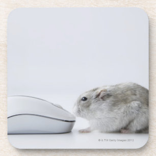 Hamster- und Computermaus Untersetzer