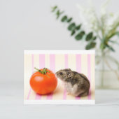 Hamster und Tomaten Postkarte (Stehend Vorderseite)