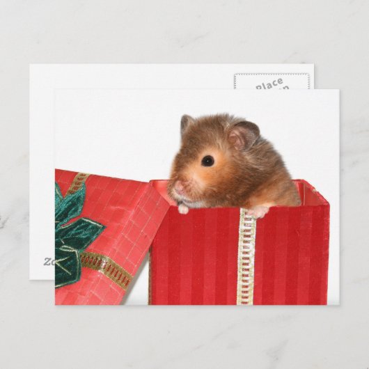 Hamster Weihnachtsgeschenk Feiertagspostkarte (Vorne/Hinten)