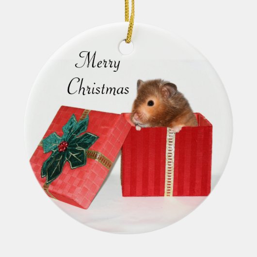 Hamster Weihnachtsgeschenk Keramik Ornament (Vorne)