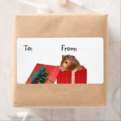 Hamster Weihnachtsgeschenk-Tag (Insitu)