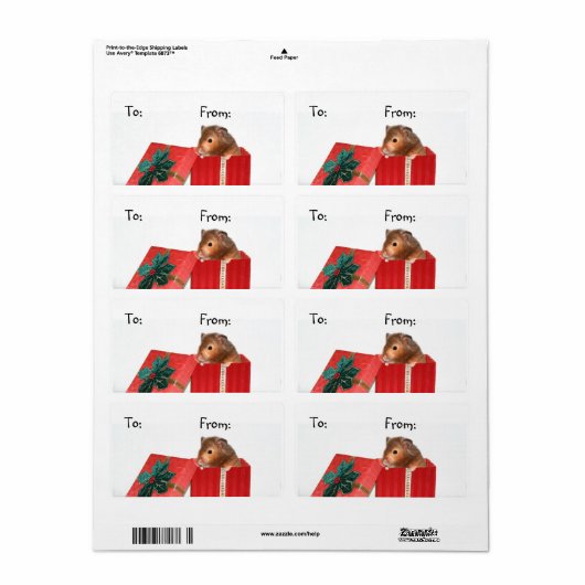 Hamster Weihnachtsgeschenk-Tag (Vorne)