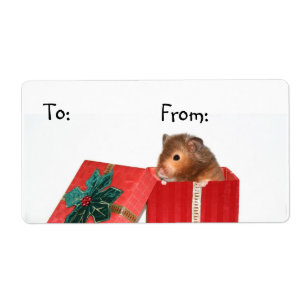 Hamster-Weihnachtsgeschenkumbau