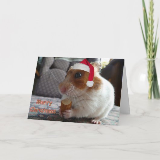 Hamster Weihnachtskarte Feiertagskarte (Vorderseite)