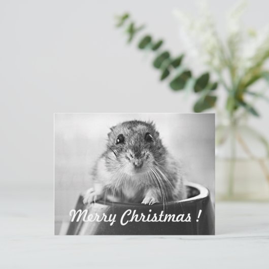 Hamster-Weihnachtskarte Feiertagspostkarte (Stehend Vorderseite)