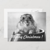 Hamster-Weihnachtskarte Feiertagspostkarte (Vorne/Hinten)