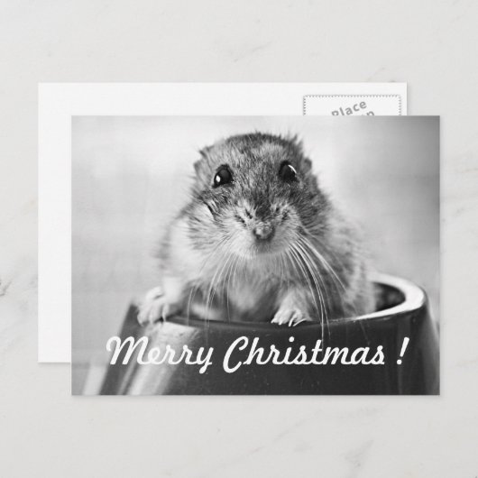 Hamster-Weihnachtskarte Feiertagspostkarte (Vorne/Hinten)