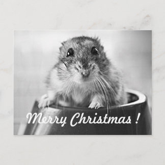 Hamster-Weihnachtskarte Feiertagspostkarte