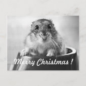Hamster-Weihnachtskarte Feiertagspostkarte (Vorderseite)