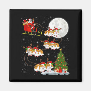 Hamster Weihnachtsmann Schlitten Fliegend Lustig M Magnet