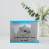 Hamster Wir haben die Postkarte verschoben (Stehend Vorderseite)