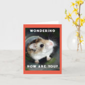 Hamster Wonder Note Card Karte (Gelbe Blume)
