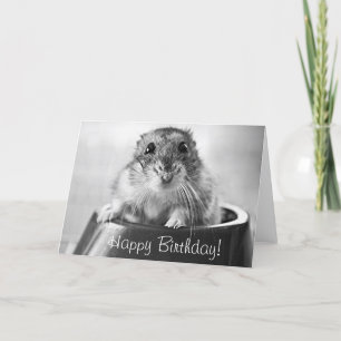 Hamstergrußkarte, alles Gute zum Geburtstag Karte