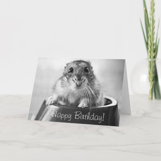 Hamstergrußkarte, alles Gute zum Geburtstag Karte (Vorderseite)