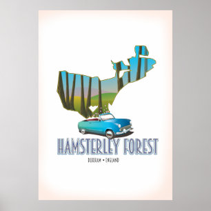 Hamsterley Forest Durham England Karte Poster