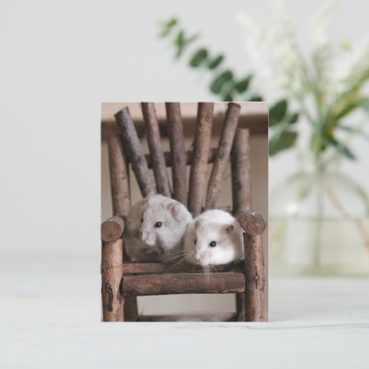 Hamsters Postkarte (Stehend Vorderseite)