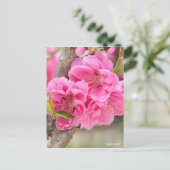Hana Peach [Postcard] Postkarte (Stehend Vorderseite)