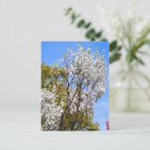 Hana Peach Postkarte (Stehend Vorderseite)