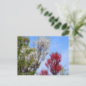 Hana Peach Postkarte (Stehend Vorderseite)