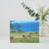 Hana Pferses Postkarte (Stehend Vorderseite)