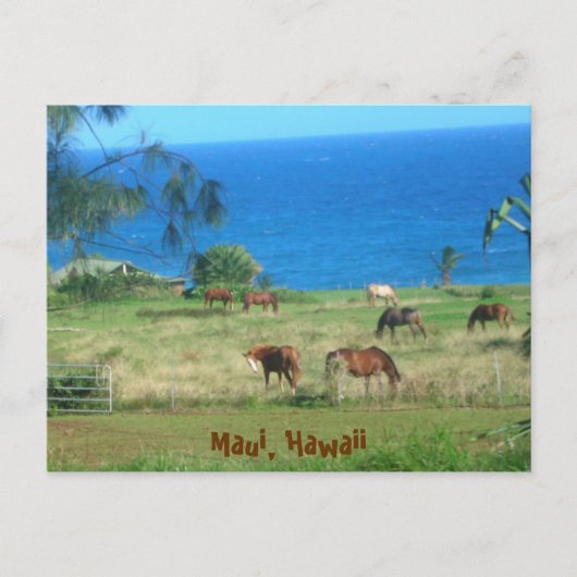 Hana Pferses Postkarte (Vorderseite)