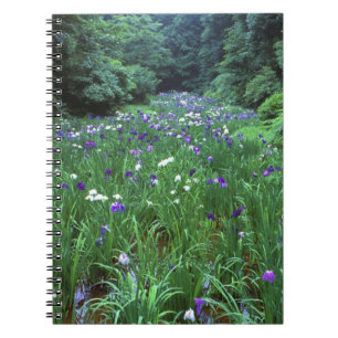 Hana Shobu (Japanische Wasser-Schwertlilie), Meiji Notizblock