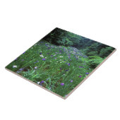 Hana Shobu (Japanischer Wassereiris), Meiji Shrine Fliese (Seite)