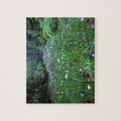 Hana Shobu (Japanischer Wassereiris), Meiji Shrine Puzzle (Vertikal)