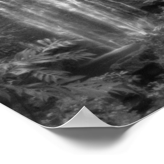 Hana Waterfall Poster (Ecke)