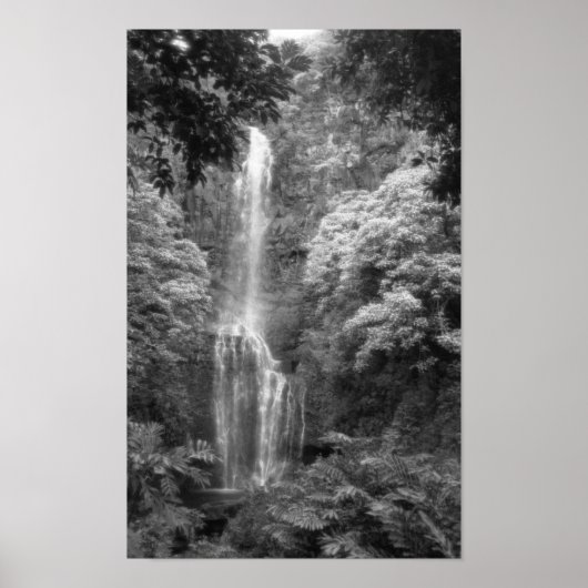 Hana Waterfall Poster (Vorne)