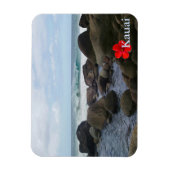 Hanakapi'ai Beach Magnet (Vertikal)