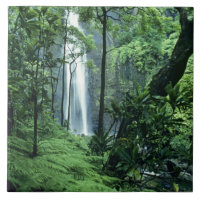 Hanakapiai Falls entlang der Na Pali Küste, Kauai,