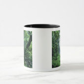 Hanakapiai Falls entlang der Na Pali Küste, Kauai, Tasse (Zentrum)