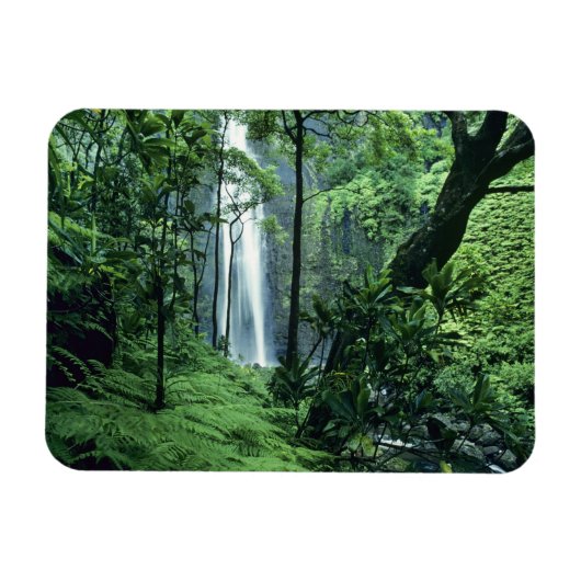 Hanakapiai fällt entlang der Na Pali Küste, Kauai, Magnet (Horizontal)