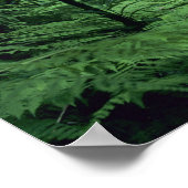 Hanakapiai fällt entlang der Na Pali Küste, Kauai, Poster (Ecke)